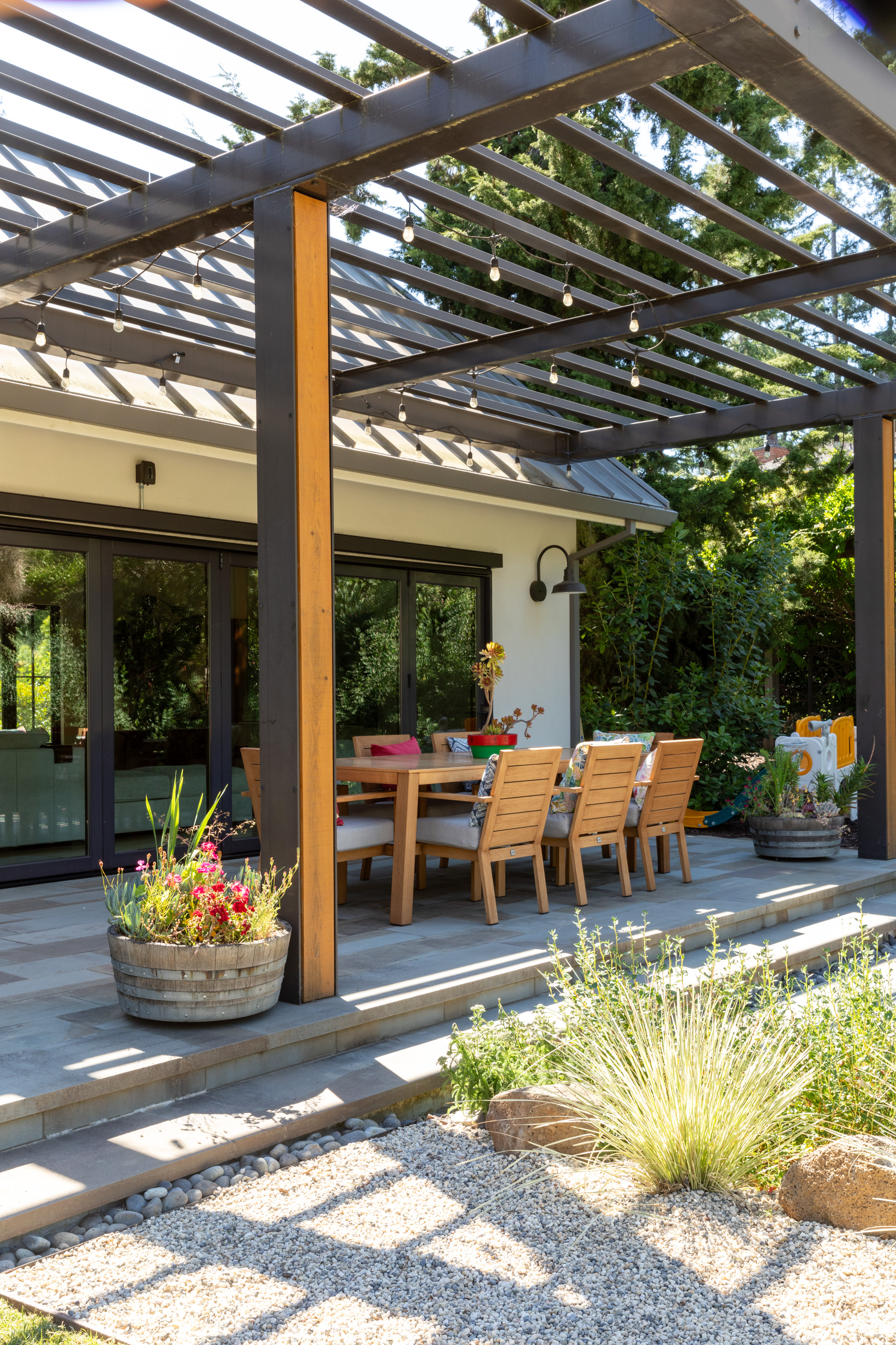 Terrain garden with concrete stepping stones and olive trees