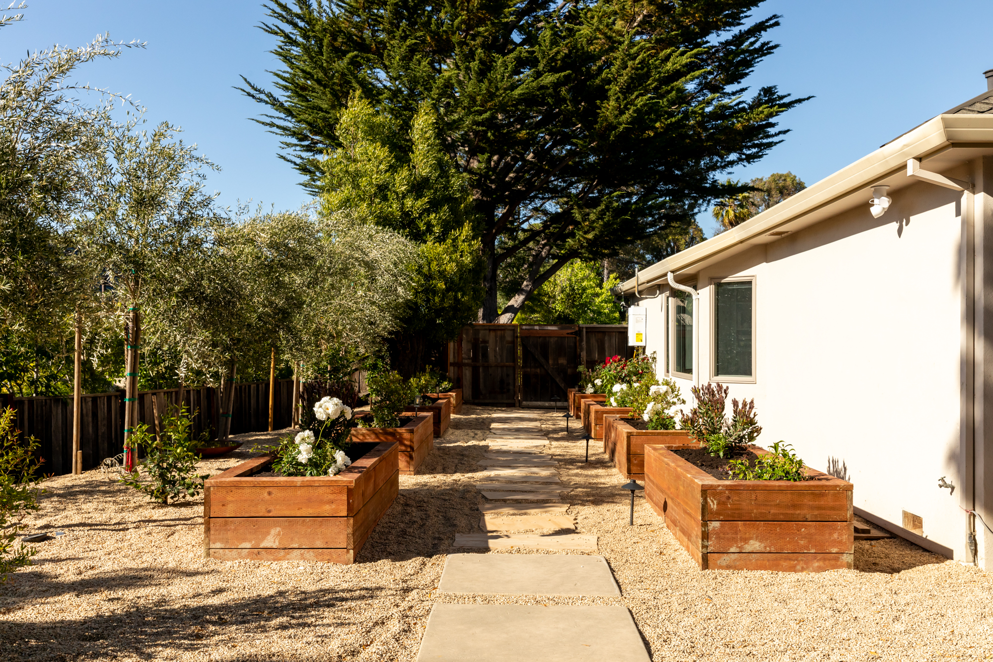 Terrain garden pathway with layered planting